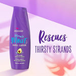 Aussie Paraben-Free Miracle Moist Shampoo - The Curl Lounge