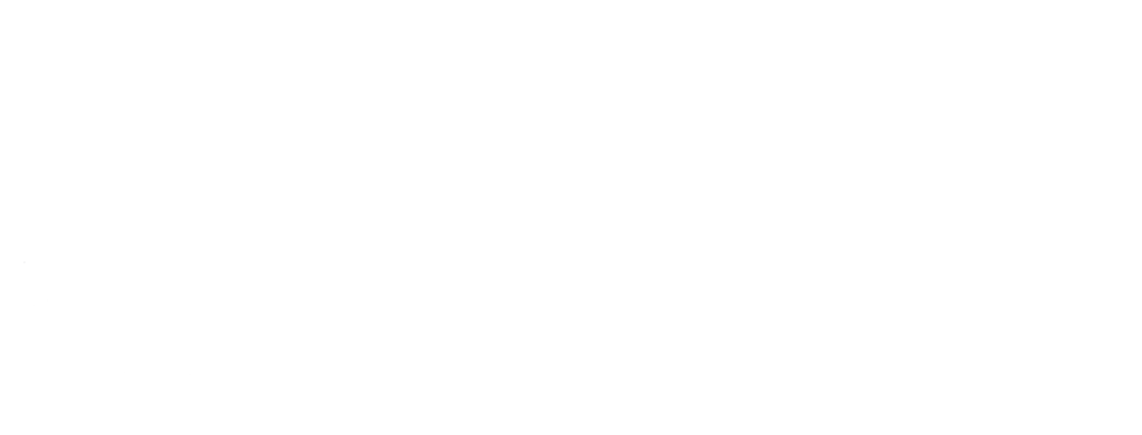 The Curl Lounge